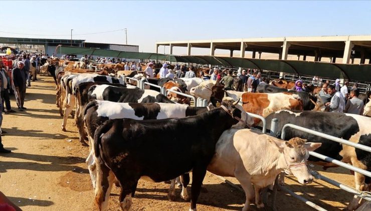 Kurban kesimini düzenleyen tebliğ Resmi Gazete’de