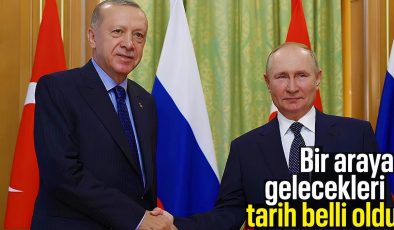 Cumhurbaşkanı Erdoğan – Vladimir Putin görüşmesi için tarih belli oldu