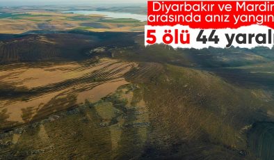 Diyarbakır ve Mardin arasında anız yangını: 5 kişi hayatını kaybetti