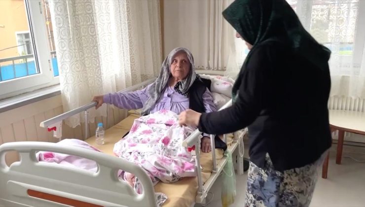 İstanbul’da pitbullun saldırdığı yaşlı kadının bacağı kesilmişti: Köpeğin sahiplerine verilen ceza açıklandı