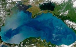 İklim değişikliğinin Karadeniz’e etkisi: Isındıkça ölüyor!