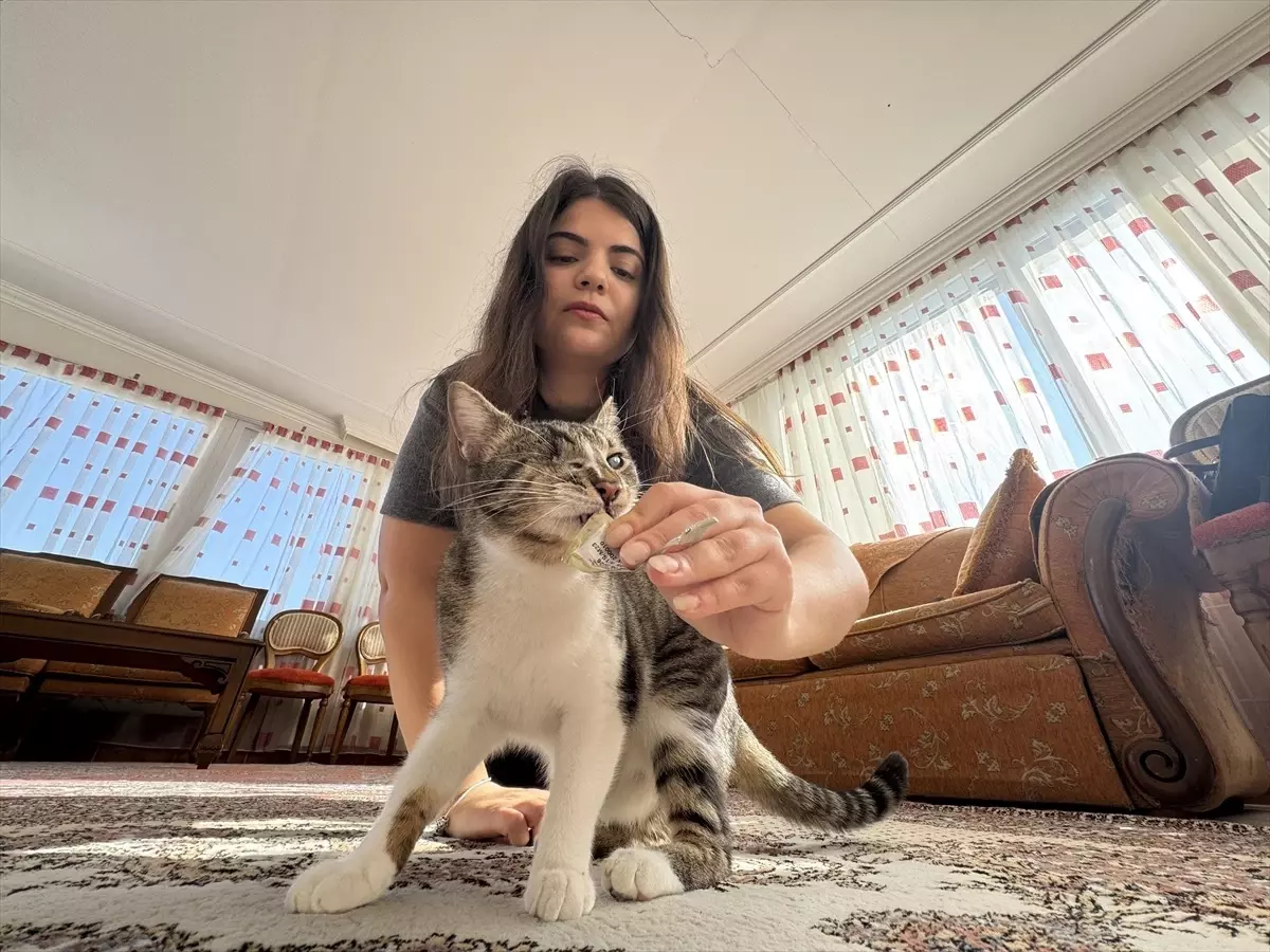 Görme Engelli Kediye Şefkatli Bakış