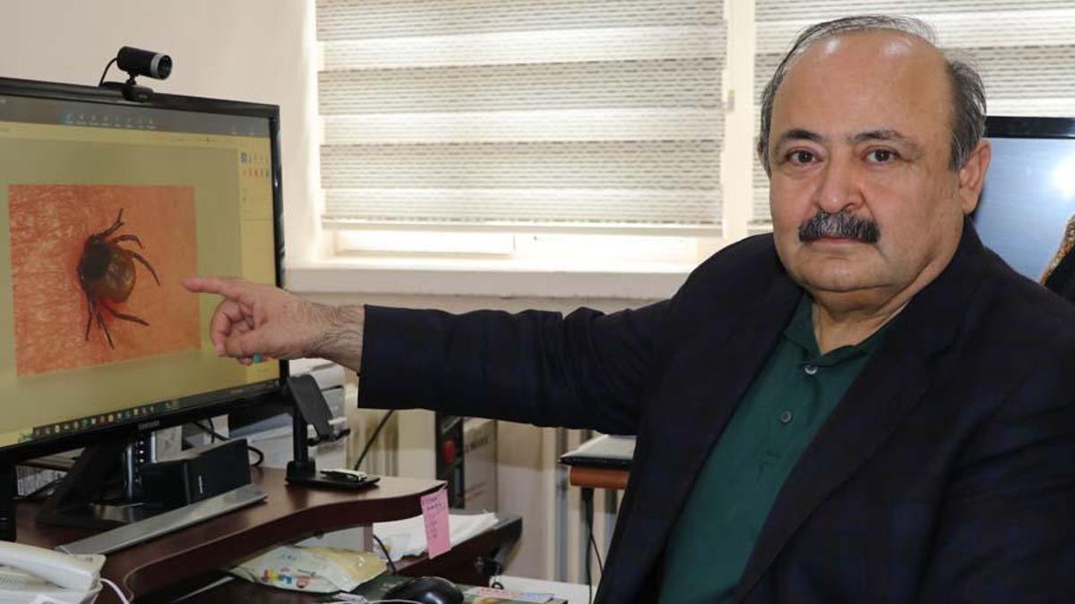 7 ilde kene alarmı! Kendisi kadar yanlış uygulamalar da öldürüyor… Sakın bu hataları yapmayın